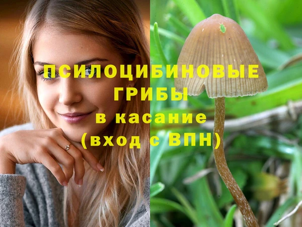 mdpv Белокуриха