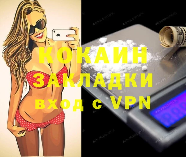 мет Новозыбков