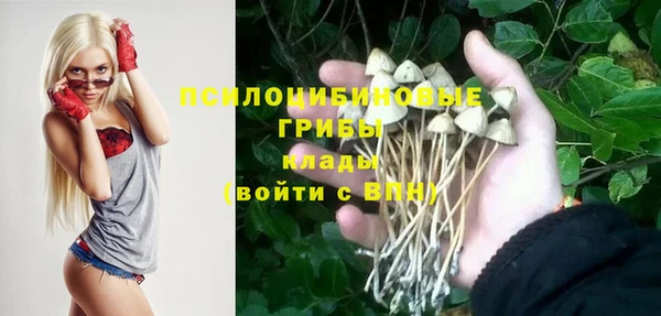 стафф Балахна